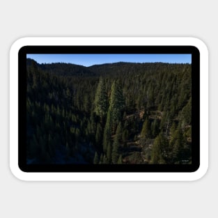 3 Giant Sequoias Sticker